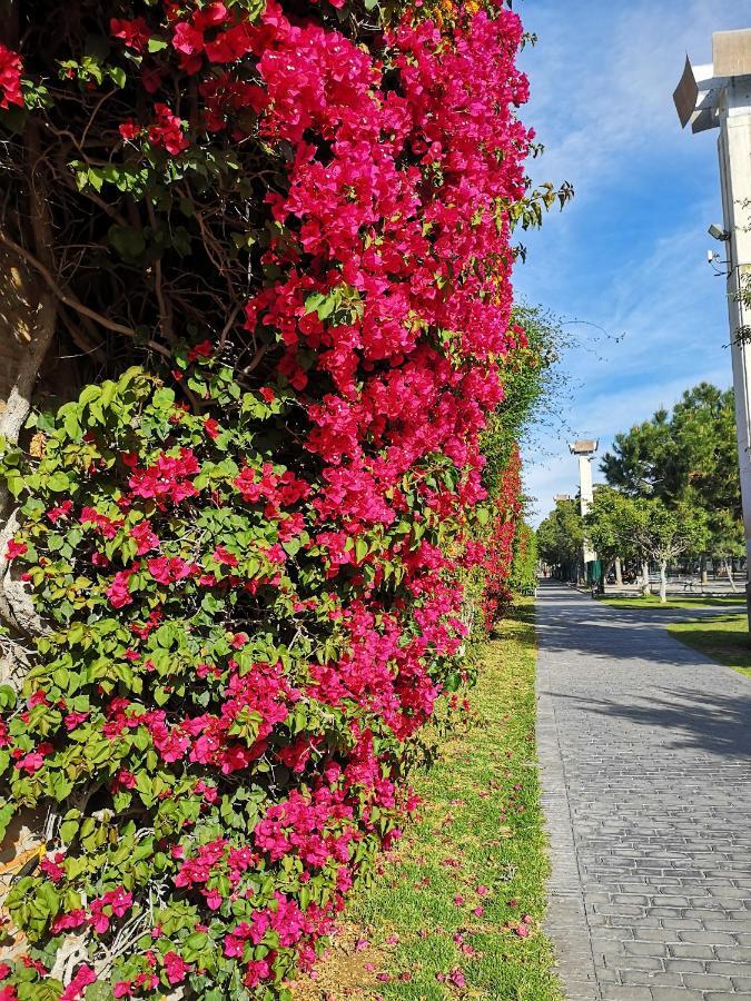 Japan Beach Parque Del Oeste 말라가 외부 사진